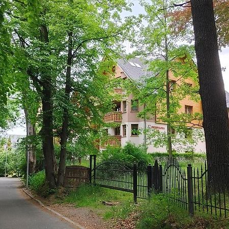 Apartament Mieta 卡尔帕奇 外观 照片