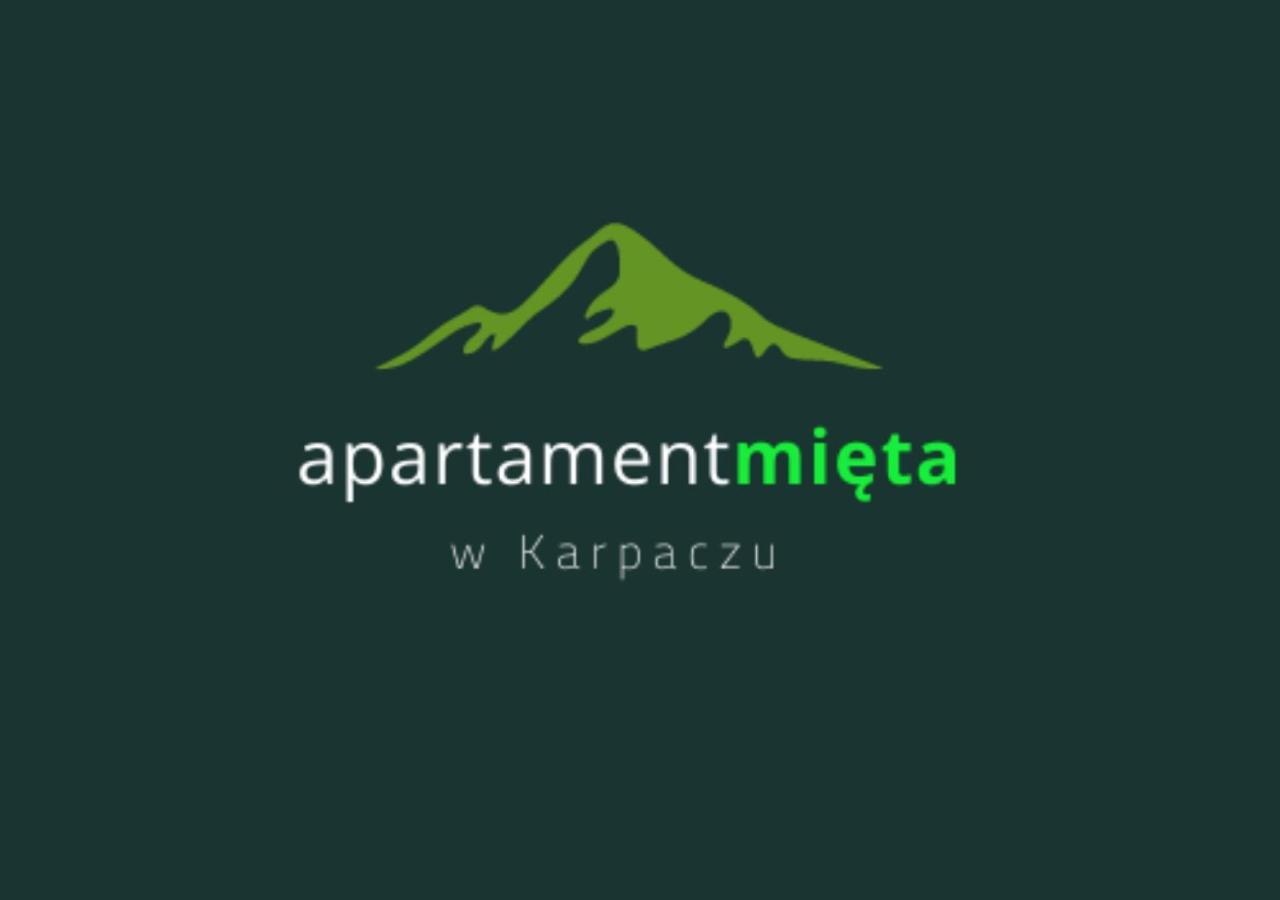 Apartament Mieta 卡尔帕奇 外观 照片