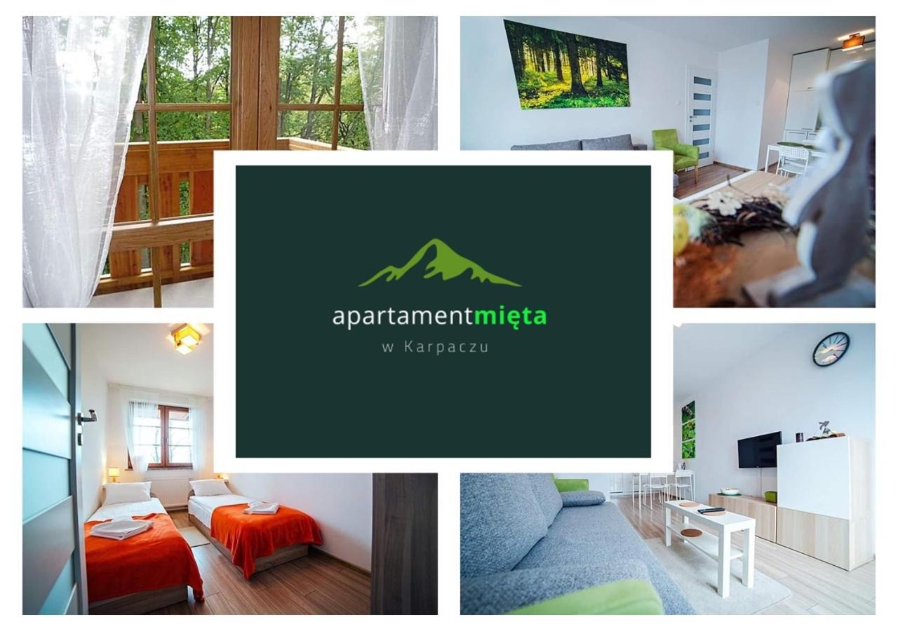 Apartament Mieta 卡尔帕奇 外观 照片
