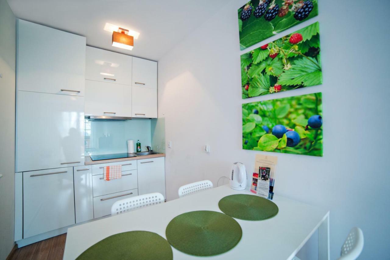 Apartament Mieta 卡尔帕奇 外观 照片